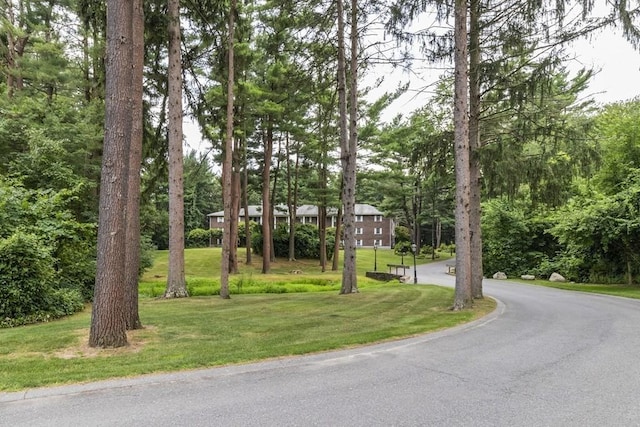 420 Great Rd Unit B9, Acton, MA 01720 - view of property's community featuring a yard