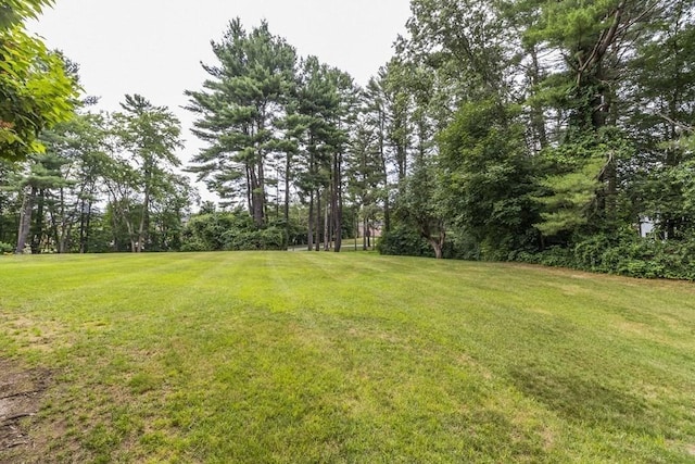 420 Great Rd Unit B9, Acton, MA 01720 - view of grassy yard