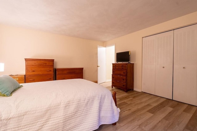 420 Great Rd Unit B9, Acton, MA 01720 - bedroom with light wood finished floors, a closet, and baseboards