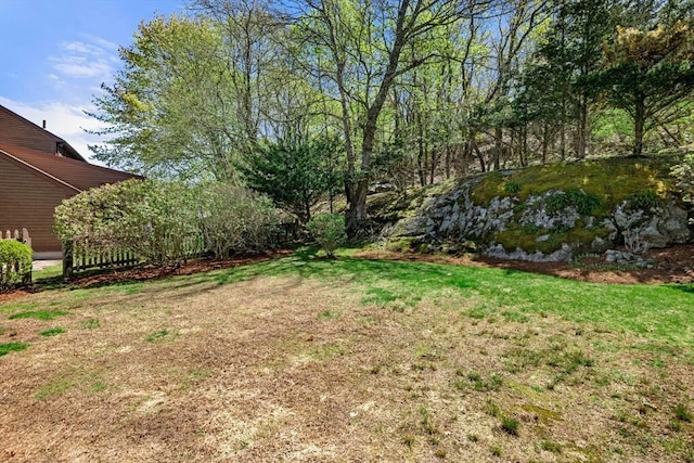 view of yard