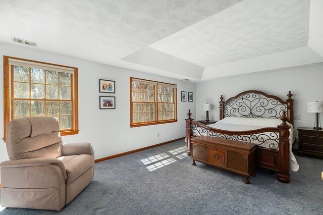 bedroom with carpet floors, a raised ceiling, and baseboards