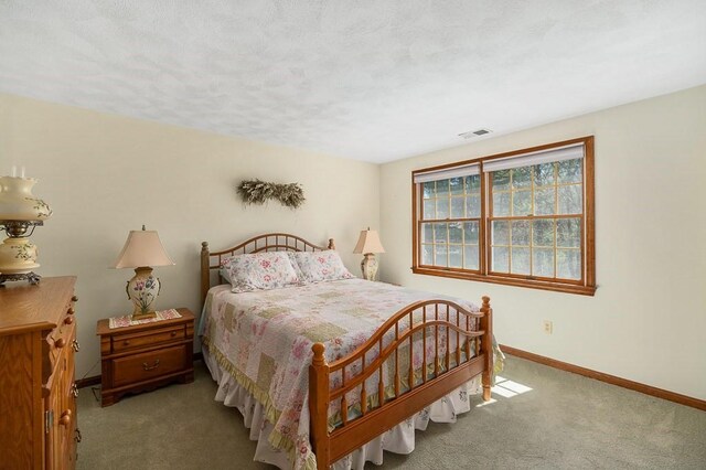bedroom with carpet floors, baseboards, and a textured ceiling