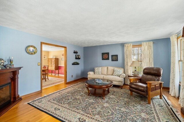 living area with wood finished floors, baseboards, and a glass covered fireplace