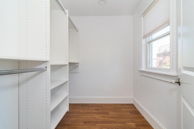 walk in closet with dark wood-type flooring