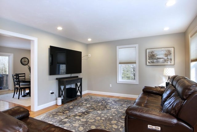 living room featuring hardwood / wood-style flooring