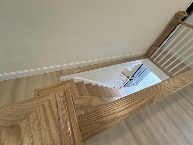 room details with a skylight and wood-type flooring