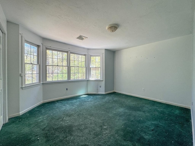 spare room with carpet, a textured ceiling, baseboards, and a healthy amount of sunlight