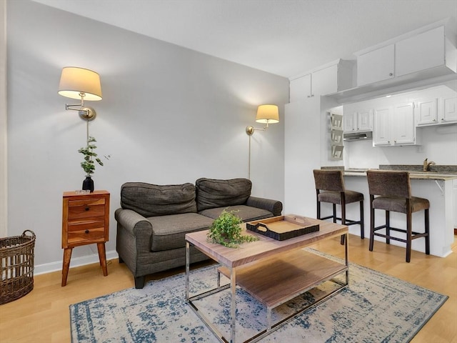 living room featuring light hardwood / wood-style flooring and sink