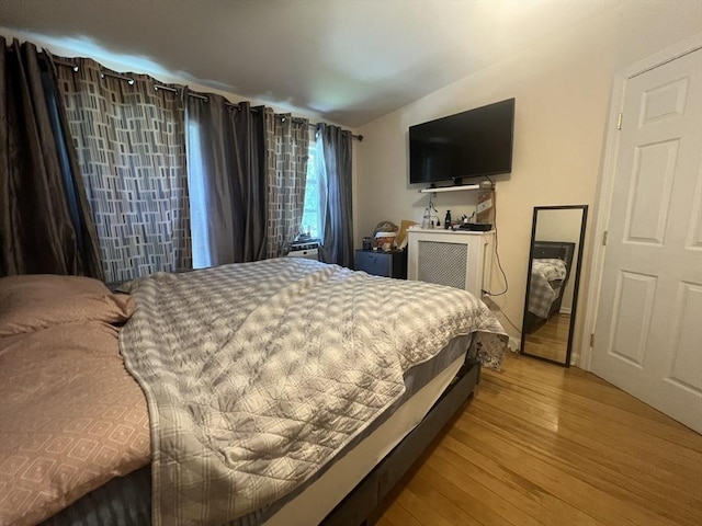 14 Waldo Ct, Haverhill, MA 01835 - bedroom with wood finished floors