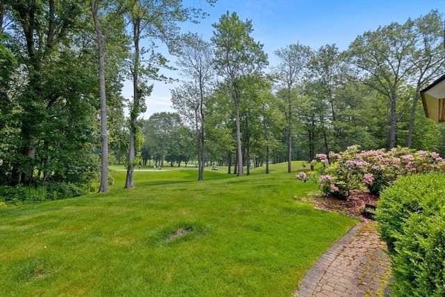 11 Fairway Dr, Andover, MA 01810 - view of grassy yard