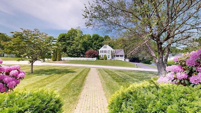 12 Prouty Ln, Rutland, MA 01543 - view of green lawn