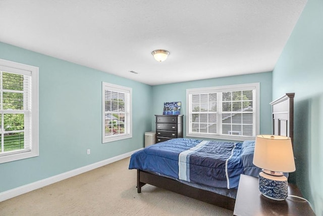 169 Braeburn Rd, East Longmeadow, MA 01128 - bedroom with multiple windows, baseboards, and carpet floors