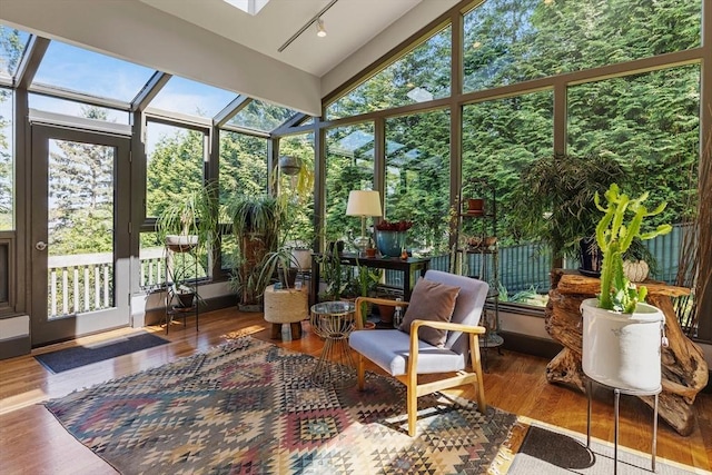 14 Meigh Rd, Newton, MA 02467 - sunroom / solarium with rail lighting and vaulted ceiling