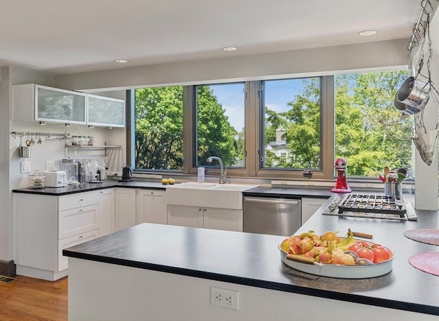 14 Meigh Rd, Newton, MA 02467 - kitchen featuring stainless steel appliances, a sink, healthy amount of natural light, white cabinets, and recessed lighting
