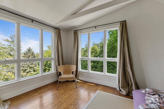 14 Meigh Rd, Newton, MA 02467 - living area featuring vaulted ceiling, wood finished floors, and baseboards