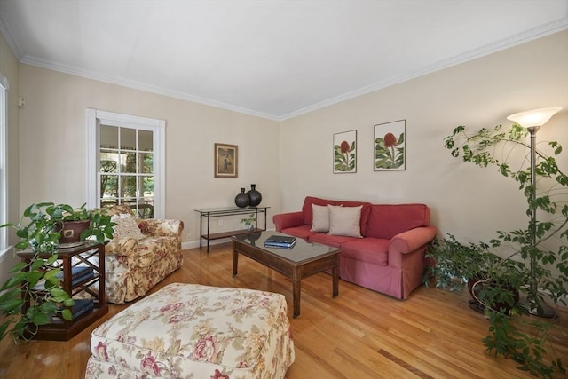 32 Bulkley Rd, Sudbury, MA 01776 - living room with light wood-style flooring, ornamental molding, and baseboards