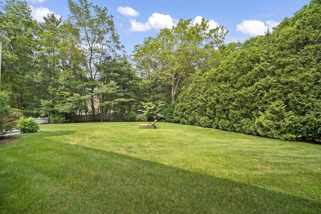 32 Bulkley Rd, Sudbury, MA 01776 - view of yard