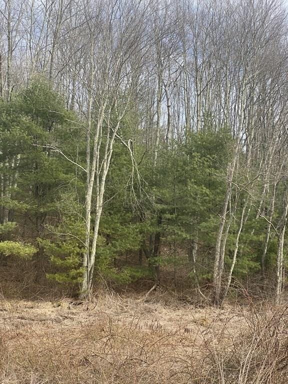 65 Birch Hill Rd, West Brookfield MA, 01585 land for sale