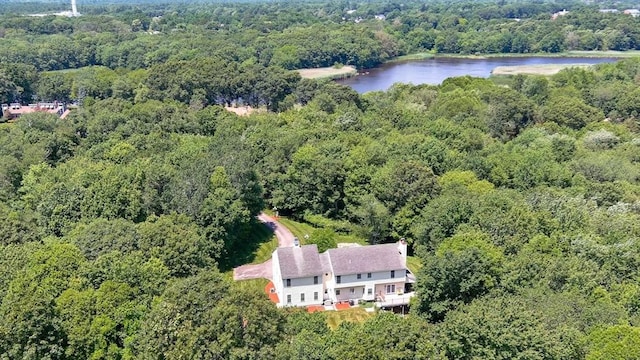 31 Swing Dr, Berkley, MA 02779 - aerial view of property's location featuring a heavily wooded area and a large body of water