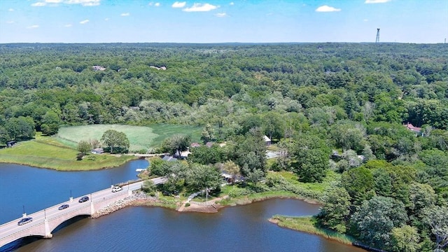 31 Swing Dr, Berkley, MA 02779 - aerial view of property's location with a heavily wooded area and a notable bridge