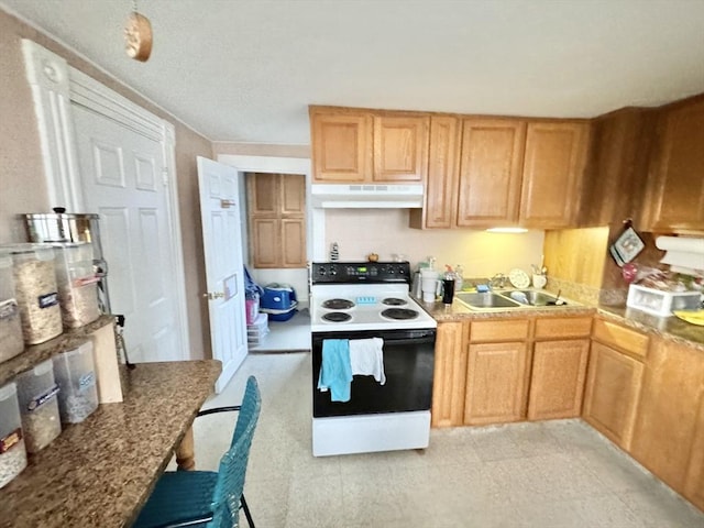 kitchen with range with electric stovetop, under cabinet range hood, and a sink