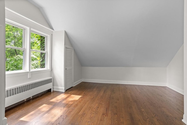 8 Winthrop Ave, Bedford, MA 01730 - additional living space featuring radiator, lofted ceiling, and wood finished floors