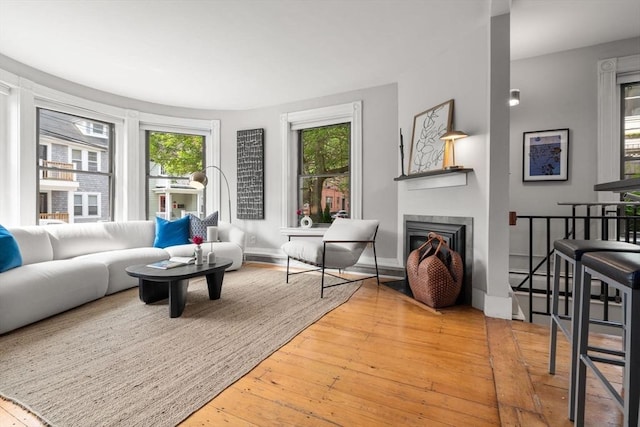 48 Kent St Unit 1, Brookline, MA 02445 - living area featuring hardwood / wood-style floors, a fireplace, and baseboards