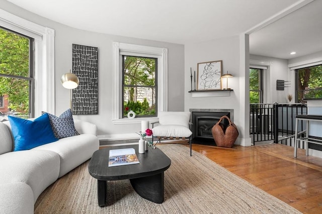 48 Kent St Unit 1, Brookline, MA 02445 - living area featuring wood finished floors, a glass covered fireplace, and recessed lighting
