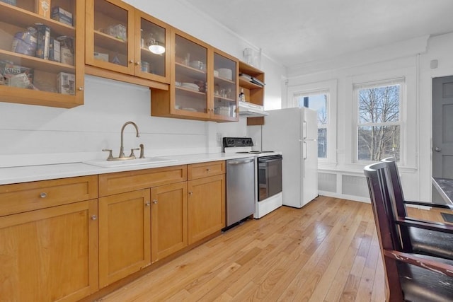 201 High St, Brookline, MA 02445 - kitchen with a sink, light wood-type flooring, under cabinet range hood, range with electric stovetop, and stainless steel dishwasher