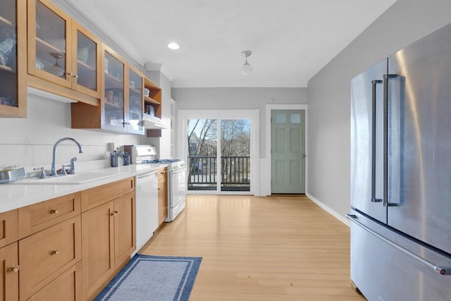 201 High St, Brookline, MA 02445 - kitchen featuring white appliances, a sink, light wood-style floors, ornamental molding, and light countertops