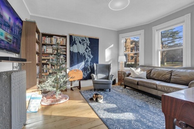 201 High St, Brookline, MA 02445 - living area with ornamental molding and hardwood / wood-style floors
