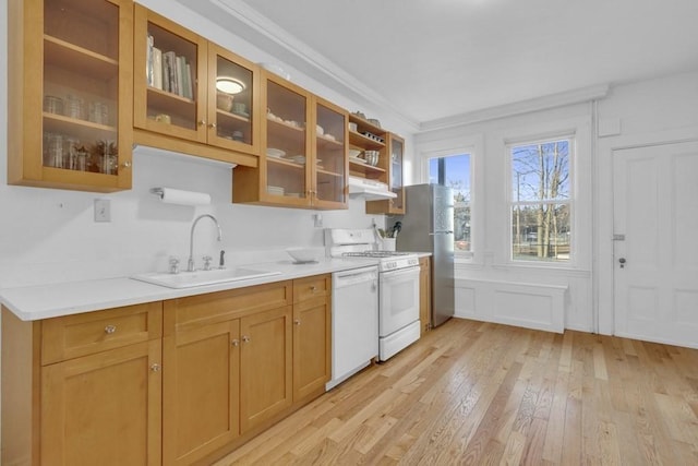 201 High St, Brookline, MA 02445 - kitchen featuring a sink, white appliances, under cabinet range hood, light wood finished floors, and light countertops
