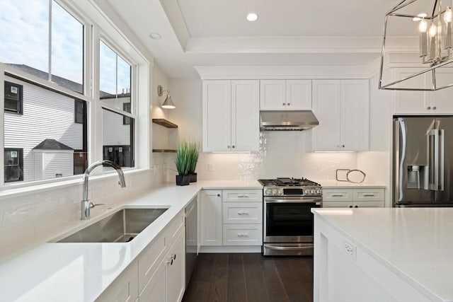 kitchen featuring dark wood-style flooring, a sink, light countertops, under cabinet range hood, and stainless steel appliances