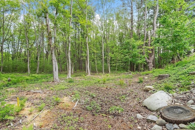 17 Lantern Ln, Leominster, MA 01453 - view of nature