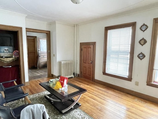 living area featuring crown molding, baseboards, light wood-style flooring, and radiator