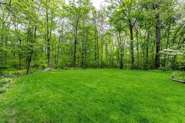 view of grassy yard