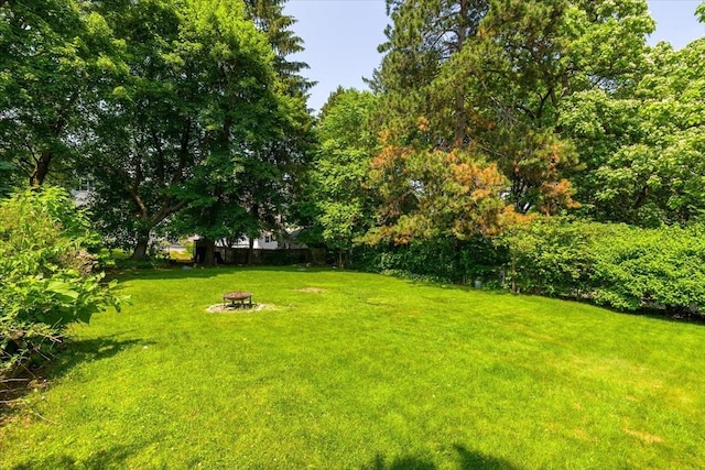 30 Whipple St, Worcester, MA 01607 - view of grassy yard featuring an outdoor fire pit