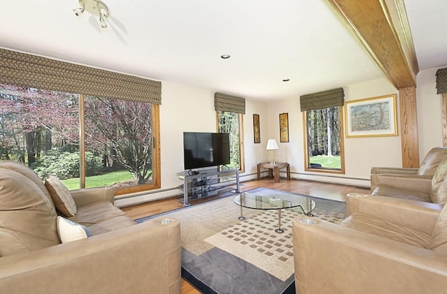 living room with a baseboard radiator, wood finished floors, a baseboard heating unit, and recessed lighting