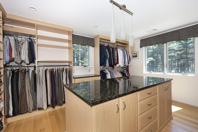 spacious closet featuring light wood-type flooring