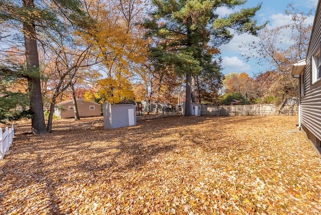 view of yard with a storage shed