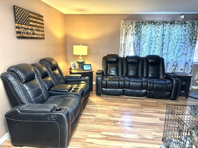 cinema room featuring hardwood / wood-style flooring