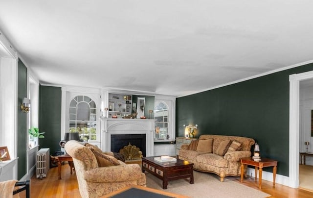 70 Hawthorn St, New Bedford, MA 02740 - living room featuring radiator heating unit, wood finished floors, a fireplace, ornamental molding, and plenty of natural light