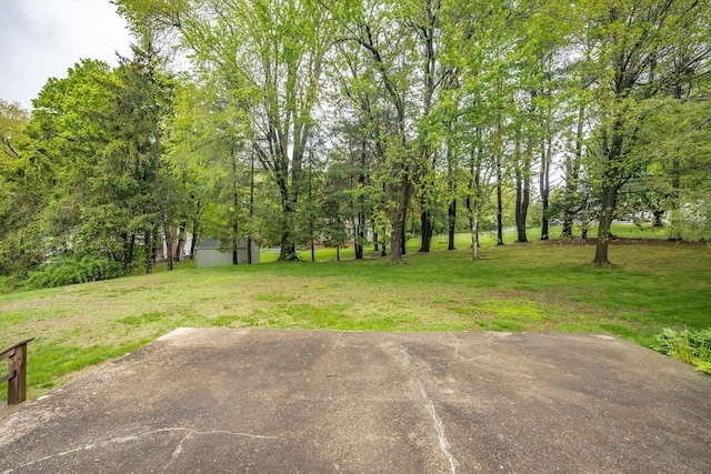 136 Butternut Hollow Rd, West Springfield, MA 01089 - view of green lawn with a storage unit and an outbuilding