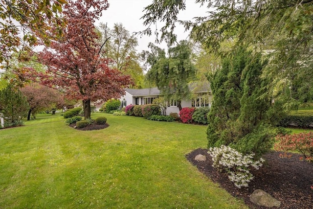 136 Butternut Hollow Rd, West Springfield, MA 01089 - view of green lawn