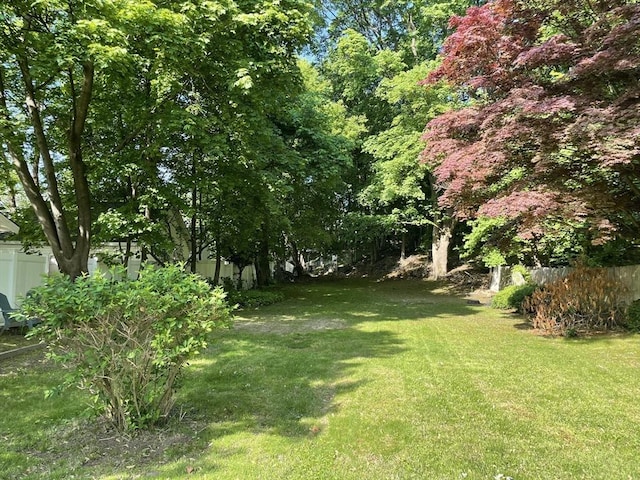 view of yard