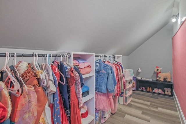 walk in closet with vaulted ceiling and wood-type flooring