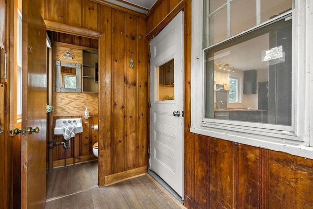 interior space with wood walls and wood finished floors