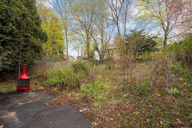 view of yard