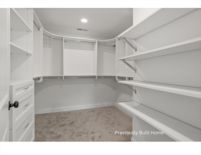 spacious closet with light colored carpet