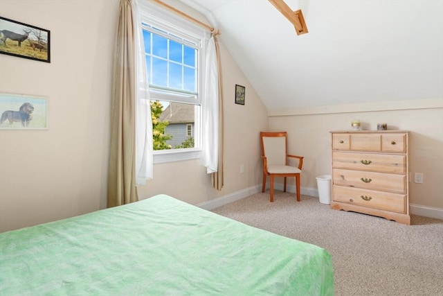 9 Emerson Ct, Winchester, MA 01890 - bedroom featuring vaulted ceiling and carpet floors
